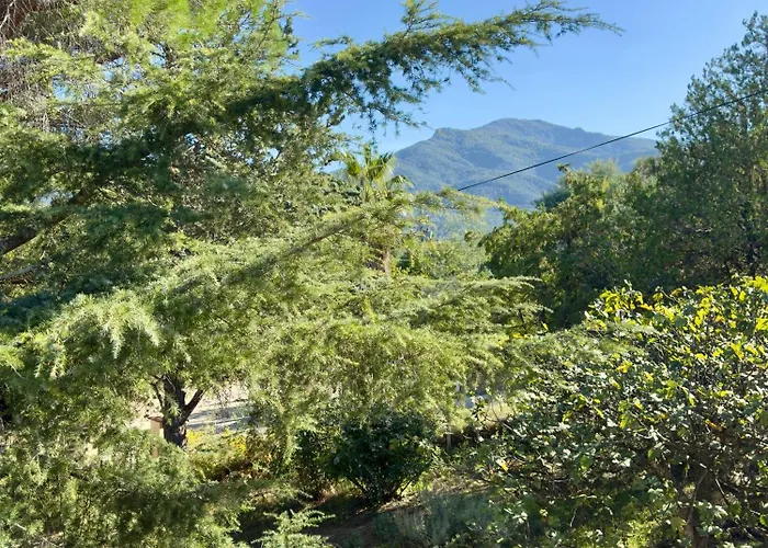 Horizons-spacious & Calm-air Conditioning-pool-5 Bedrooms-sudsejourconciergerie Villa